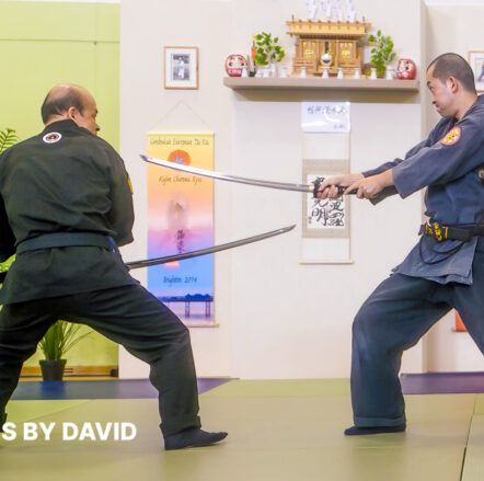 Taijutsu Training Day