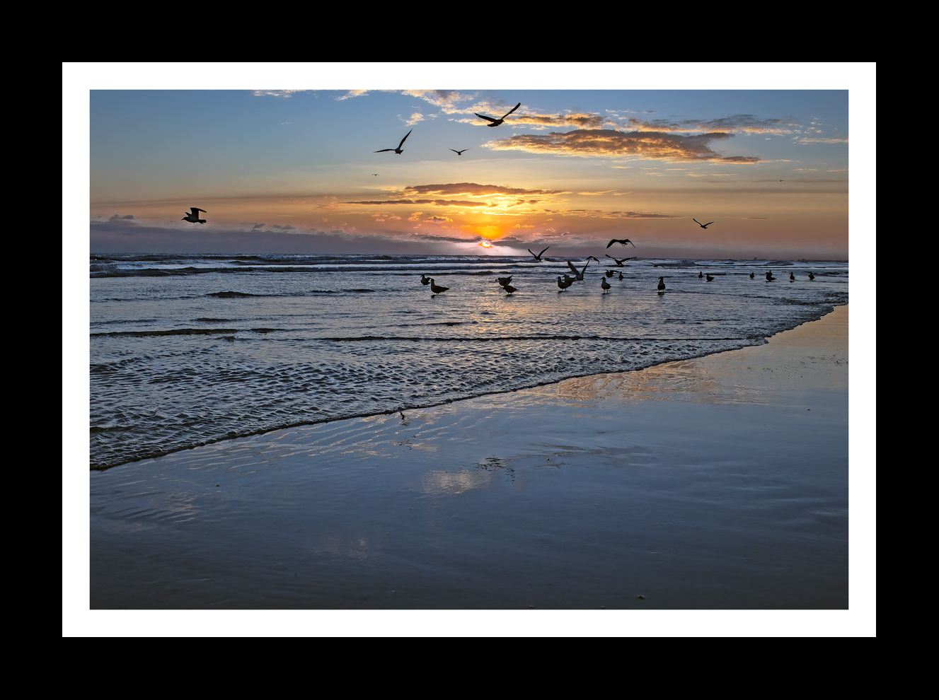 Brighton Beach Low Tide -7
