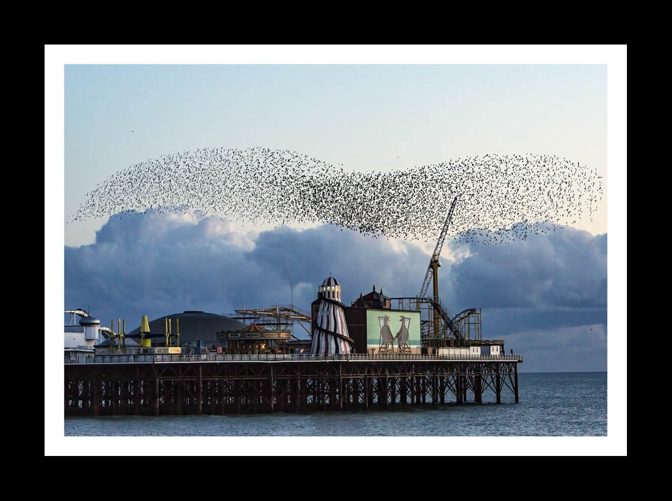 Brighton Starling Murmaration -1