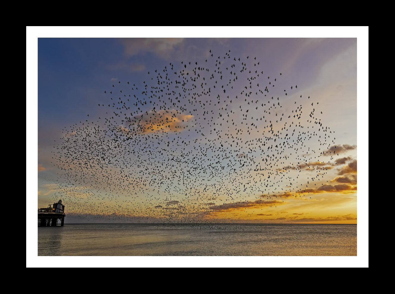 Brighton Starling Murmaration -16