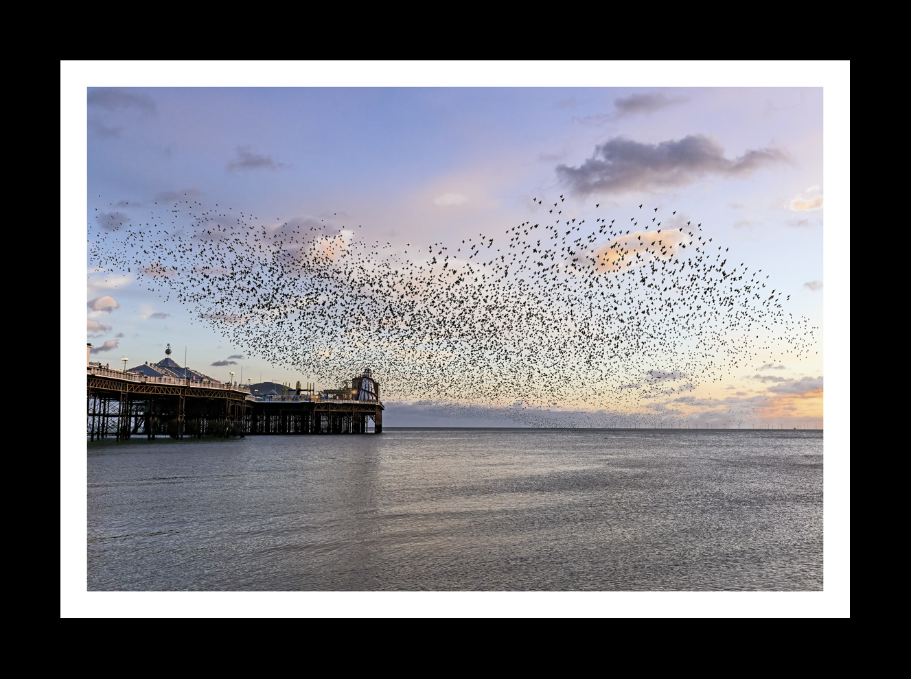 Brighton Starling Murmaration -18
