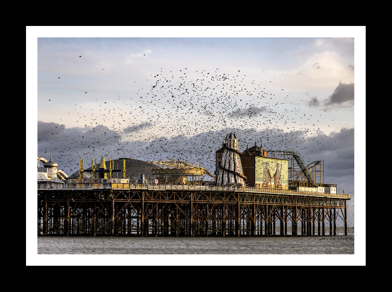 Brighton Starling Murmaration -2